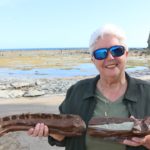 Mrs Lesley Kool OAM on the foreshore holding a dinosaur fossil